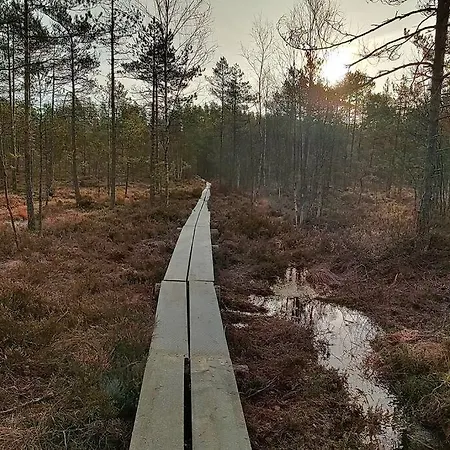 1 - 4 Hengelle Daire