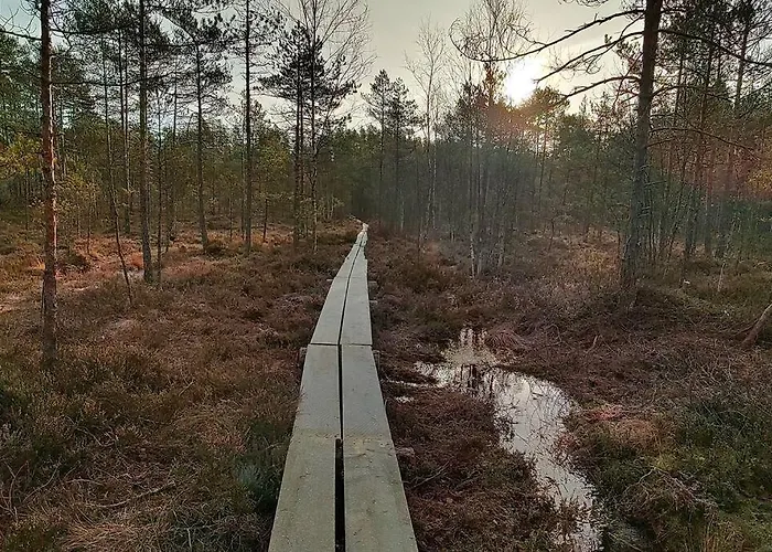 1 - 4 Hengelle アパート